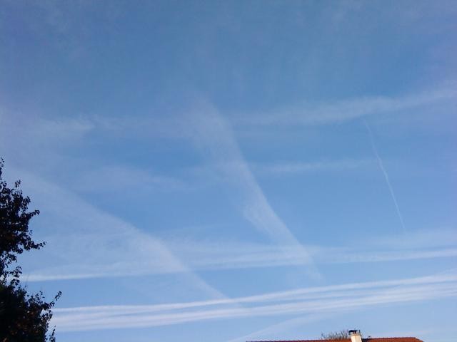 dsc00218.jpg