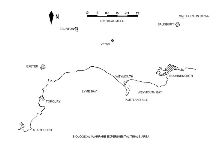 Lyme Bay Blank.JPG