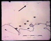 Lyme Bay plume map 01 resize.jpg