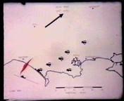Lyme Bay plume map 02 resize.jpg