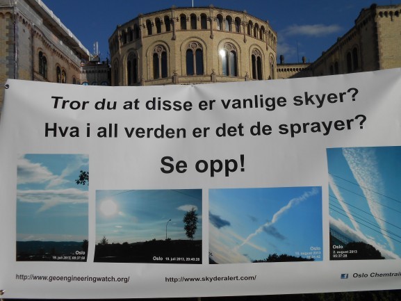 7-577x433.jpg
