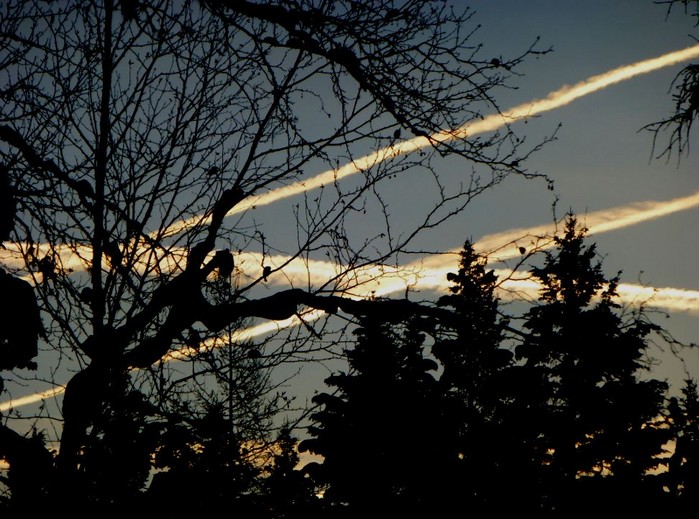 Chem trail 3 Jan 1 2015.JPG