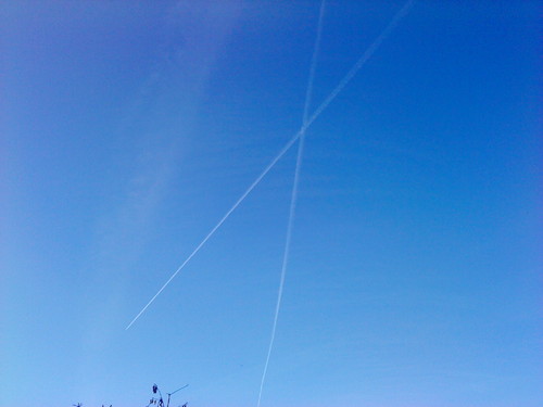 DSC00512.JPG
