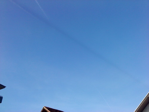 DSC00550.JPG