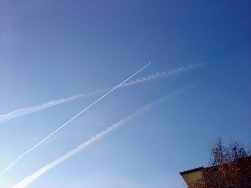 DSC00551.JPG