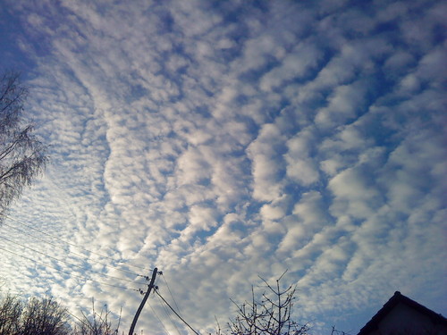 DSC00572.JPG