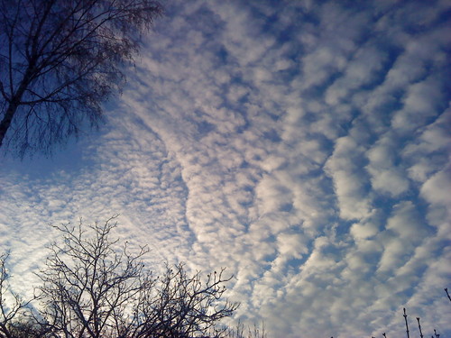 DSC00573.JPG
