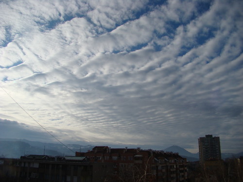 DSC04515.JPG