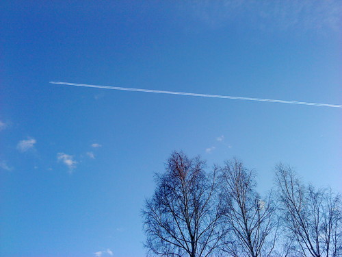 DSC00036.JPG
