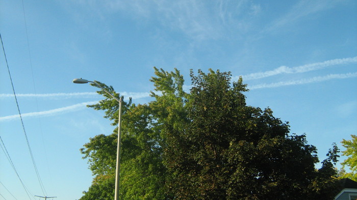 IMG_1155.JPG
