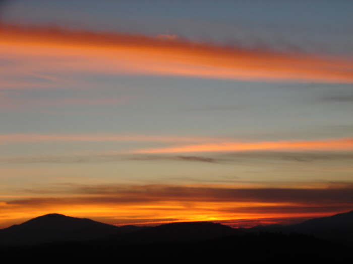 DSC06906.JPG