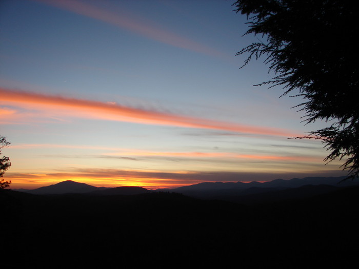 DSC06908.JPG