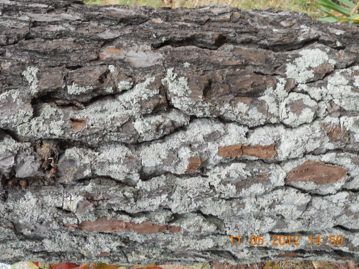 DSCN1013.JPG