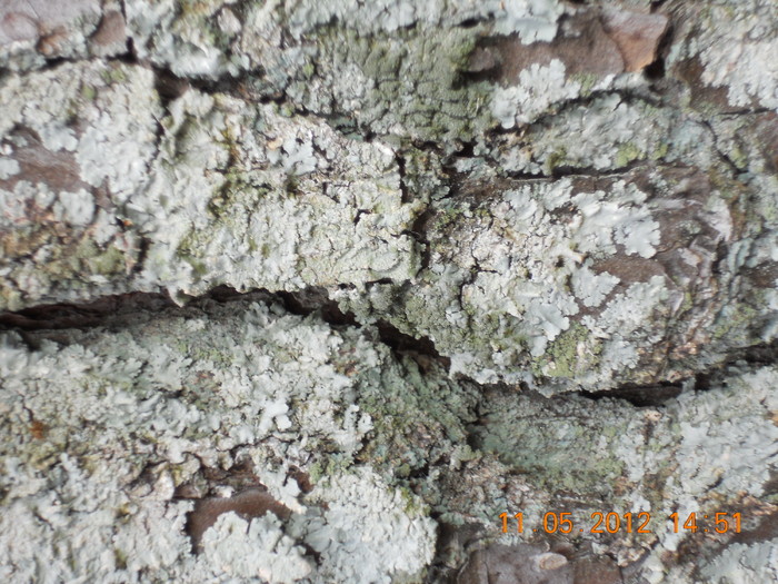 DSCN1015.JPG