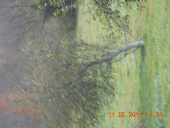 DSCN1017.JPG