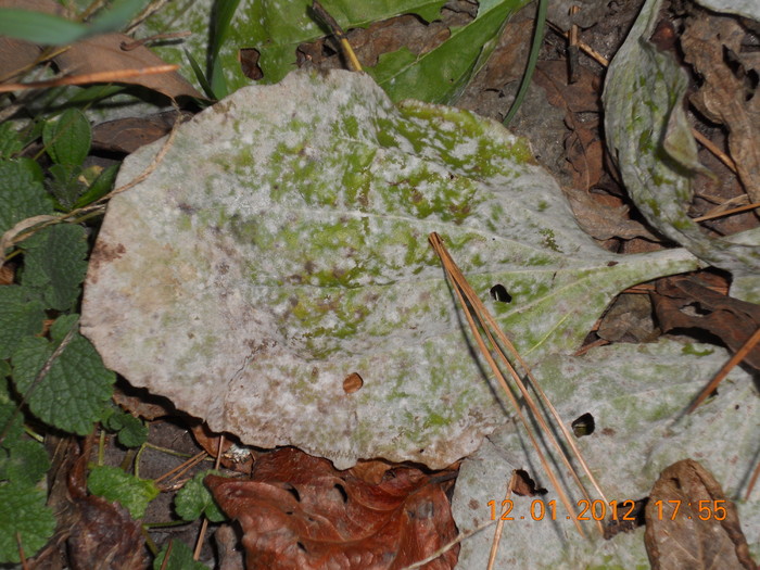 DSCN1219.JPG