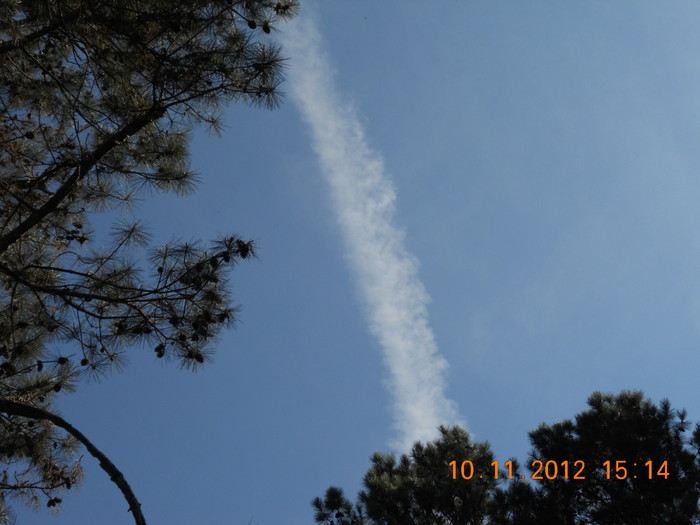 DSCN0965.JPG