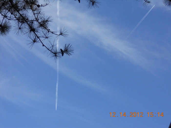 DSCN1262.JPG