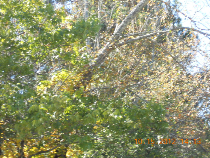 DSCN0968.JPG
