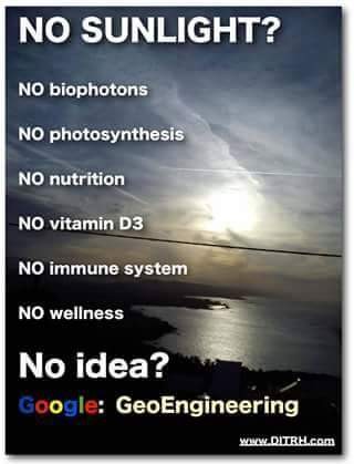 Google Geoengineering.jpg