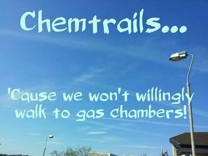 Cause we don't walk into gas chambers.jpg