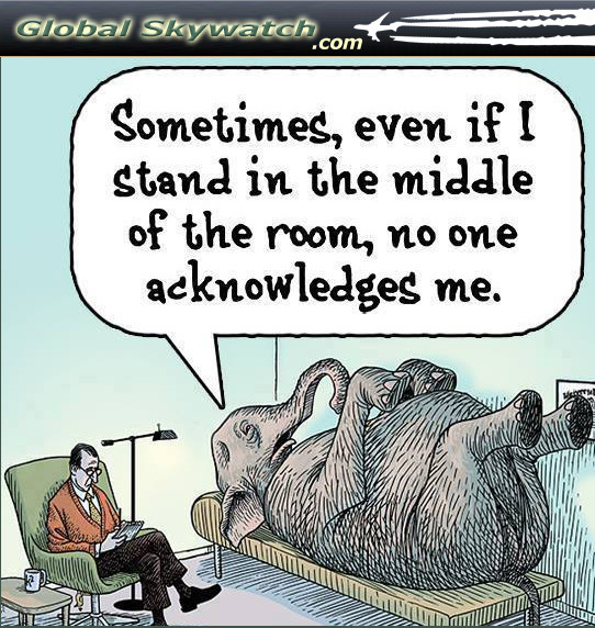 Elephant-in-the-Room,-Modified.jpg