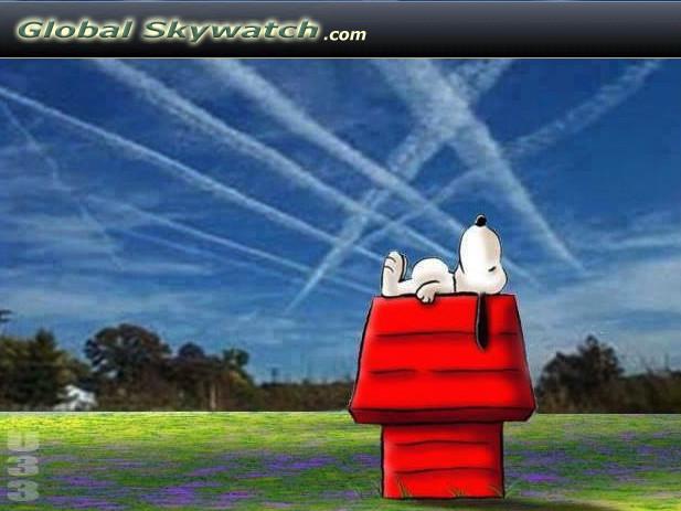 Snoopy-Chemtrails.jpg