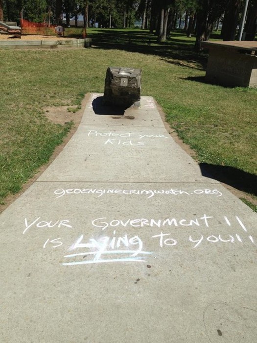 Your Government is Lying.jpg