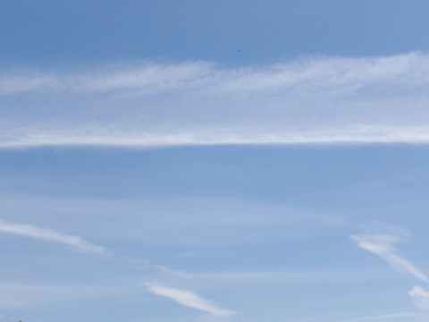 100_0696.JPG