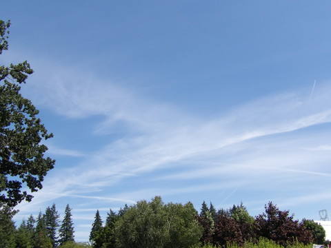 100_0699.JPG
