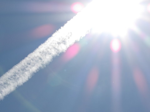 100_0712.JPG