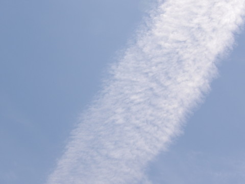 100_0713.JPG