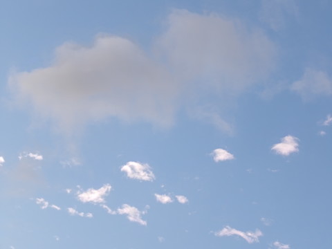 100_0721.JPG