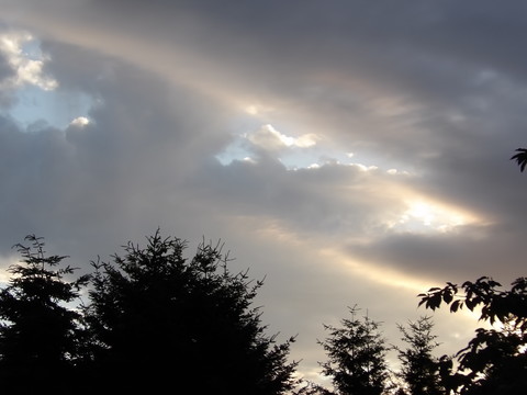 100_0722.JPG