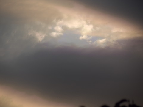 100_0723.JPG