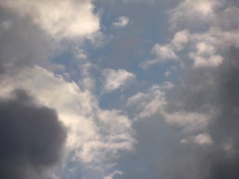 100_0724.JPG