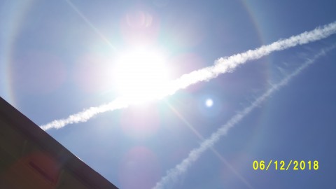 100_4262.JPG