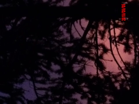 100_0916.JPG