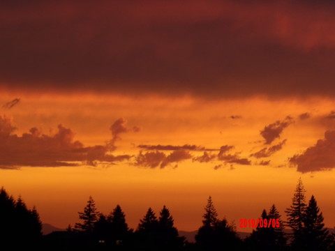 100_0911.JPG