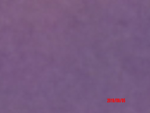 100_0913.JPG
