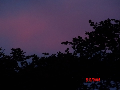 100_0907.JPG