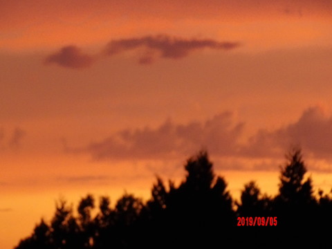 100_0909.JPG