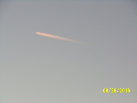 100_1195.JPG