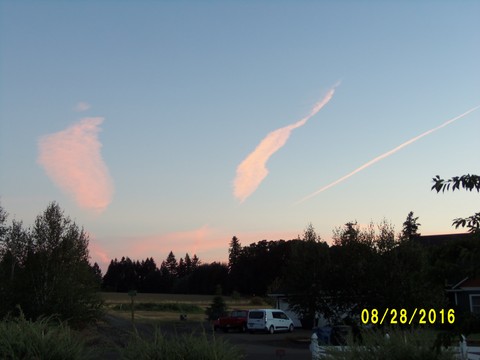 100_1199.JPG