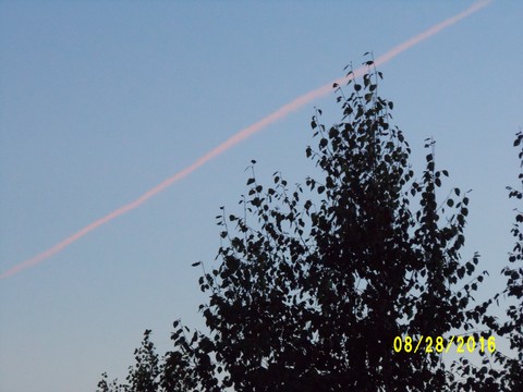 100_1201.JPG