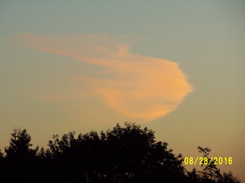 100_1203.JPG
