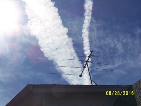 100_1176.JPG