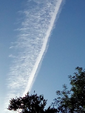 large-fallout-plume.jpg