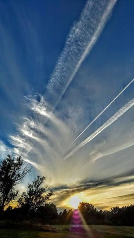 pulsed-fallout-plumes.jpg