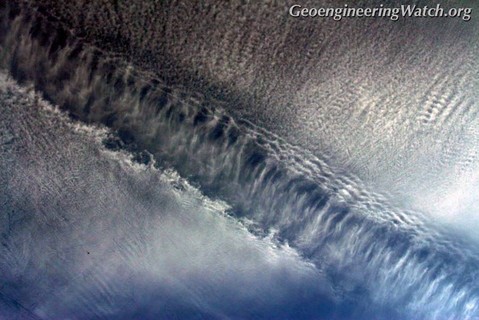 dissipation-close-up.jpg